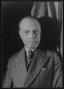 James Weldon Johnson image