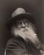 Walt Whitman image