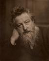 William Morris image